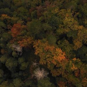 Meet your Posher, Armando